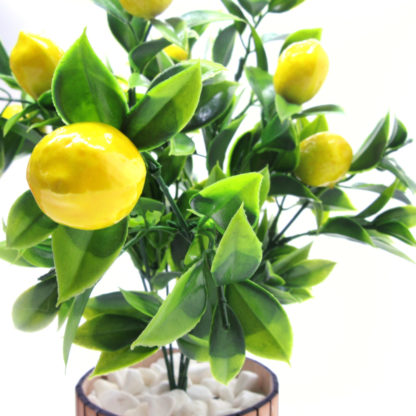 yapay limon ağacı